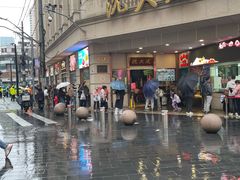 -沈大成(南京东路店)