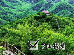 -大岭沟猕猴桃谷风景区
