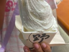 -野人先生现做冰淇淋(北京环宇荟店)
