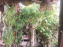 -自然餐厅(Phuket)