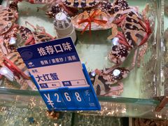 -强记海鲜·大排档(蛇口新街店)