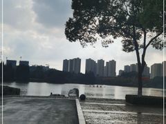 -青枫公园