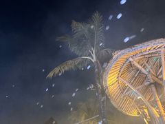 -FINNS Beach Club