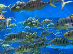 -威海华夏城景区