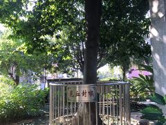 -广州神农草堂中医药博物馆