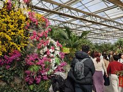 -南宫五洲植物乐园