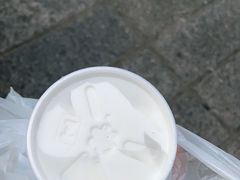 -洪馨椰子