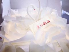 -BLACKSWAN黑天鹅(环球店)