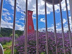 -名花谷生态庄园