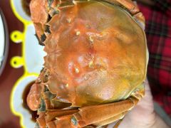 -黄记大闸蟹专卖店·活蟹·醉蟹