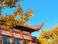 -楼外楼(西湖景区孤山路店)