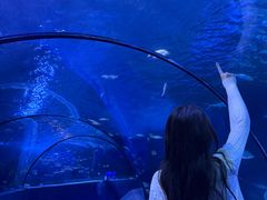 -太平洋海底世界