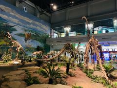 -自贡恐龙博物馆