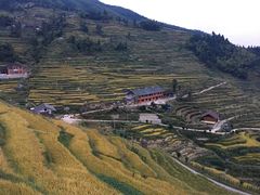-紫鹊界梯田景区