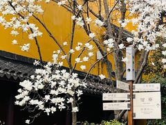 -龙华寺