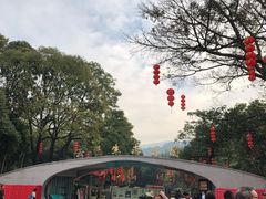 -云溪植物园
