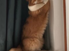 -晋爵会游泳馆(海湾公园店)