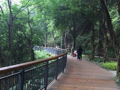 -金鸡山公园