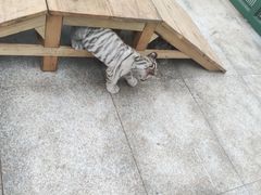 -秦皇岛野生动物园