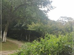 -虞山城墙