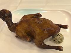 -清新鸡沙田乳鸽店(金融店)