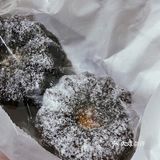 按头安利 大家快去吃🐛