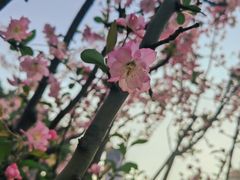 -西北湖绿化广场