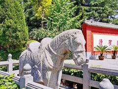 -洛阳白马寺