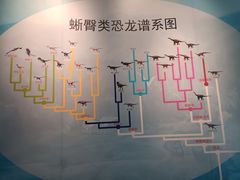 -安徽省地质博物馆