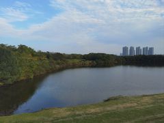 -盘龙城国家考古遗址公园