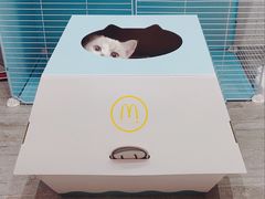 -麦当劳(四平路店)