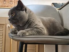 -Me Coffee下午茶艺术空间