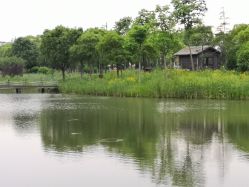 -水八仙生态园