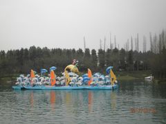 -秀丽东方