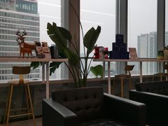 -马泷齿科·成都锦江置略马泷口腔门诊部(IFS国金中心店)