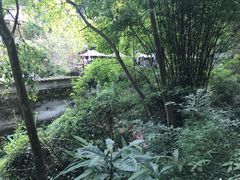 -青城山