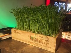 -左庭右院鲜牛肉火锅(新梅广场店)
