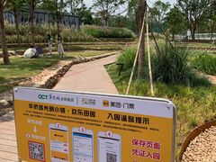 -光明小镇欢乐田园
