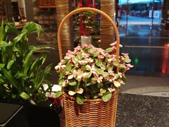 -顺兴老茶馆·精品川菜(世纪城店)