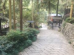 -天明山温泉大酒店