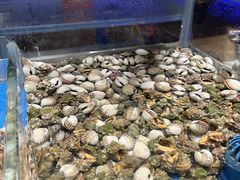 -加餐海鲜自助(宝龙一城店)