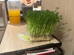 -海底捞火锅(巴黎春天浦建店)
