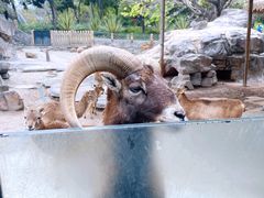 -广州动物园