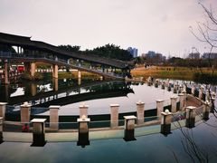 -眉山湿地公园(东坡区)