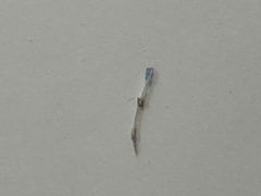 -复旦大学附属华山医院(总院)