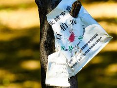 -翠湖国家城市湿地公园