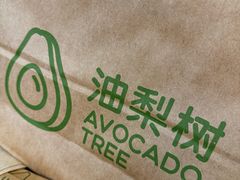 -油梨树AVOCADO TREE(顺义新国展店)