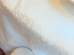 -金鮀岛潮州酒家
