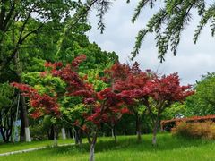 -白塘生态植物园