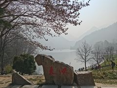 -秦岭终南山世界地质公园翠华山景区